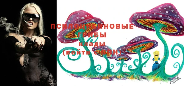 мяу мяу мука Балахна